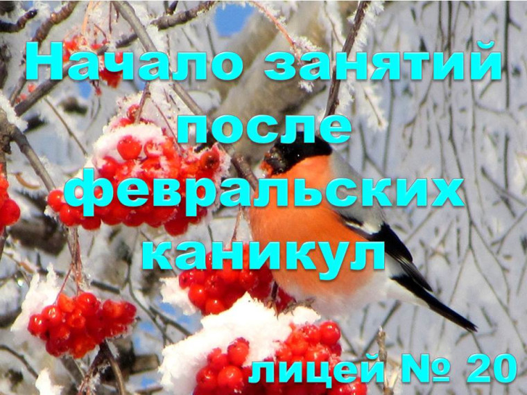 ‼️Снова в школу после зимних февральских каникул 26.02.2024 года‼️.