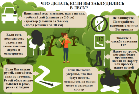 ‼️ Если ребёнок потерялся в лесу‼️.